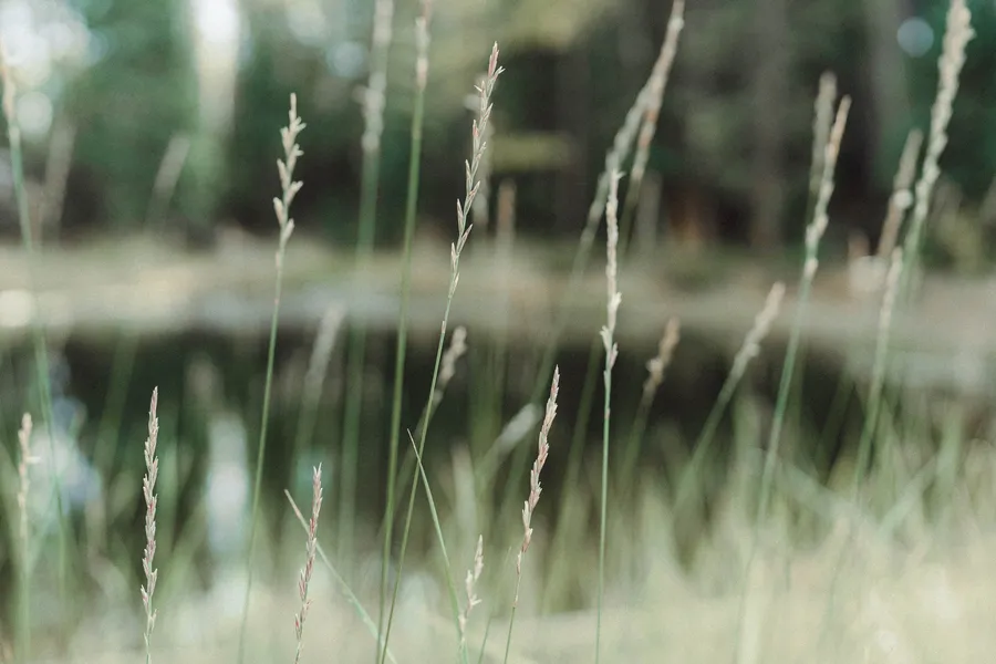 Photography: Colorado