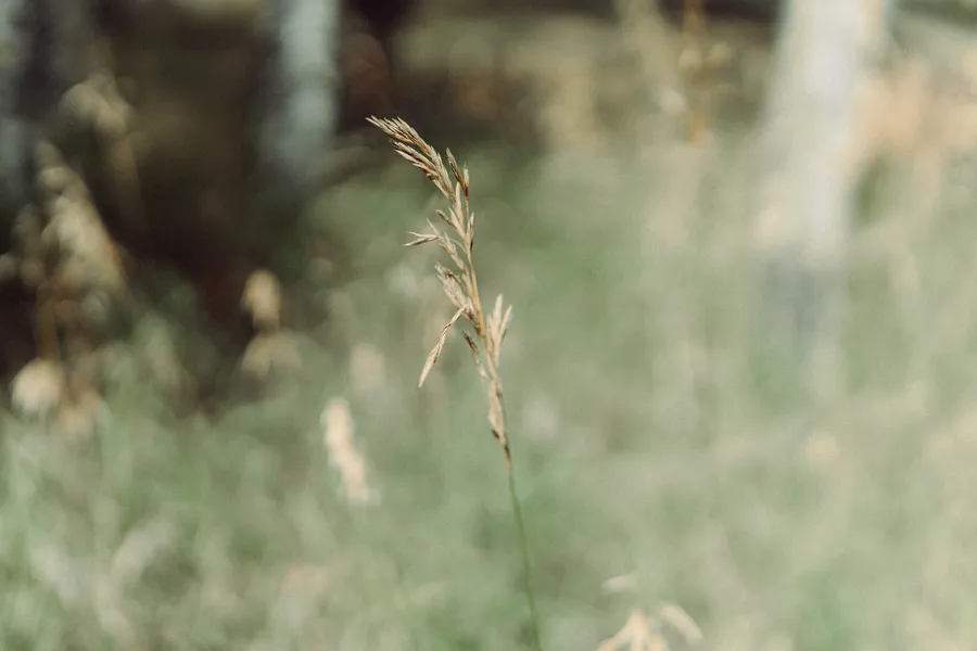 Photography: Colorado