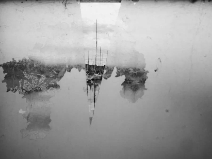 Photography: Still life