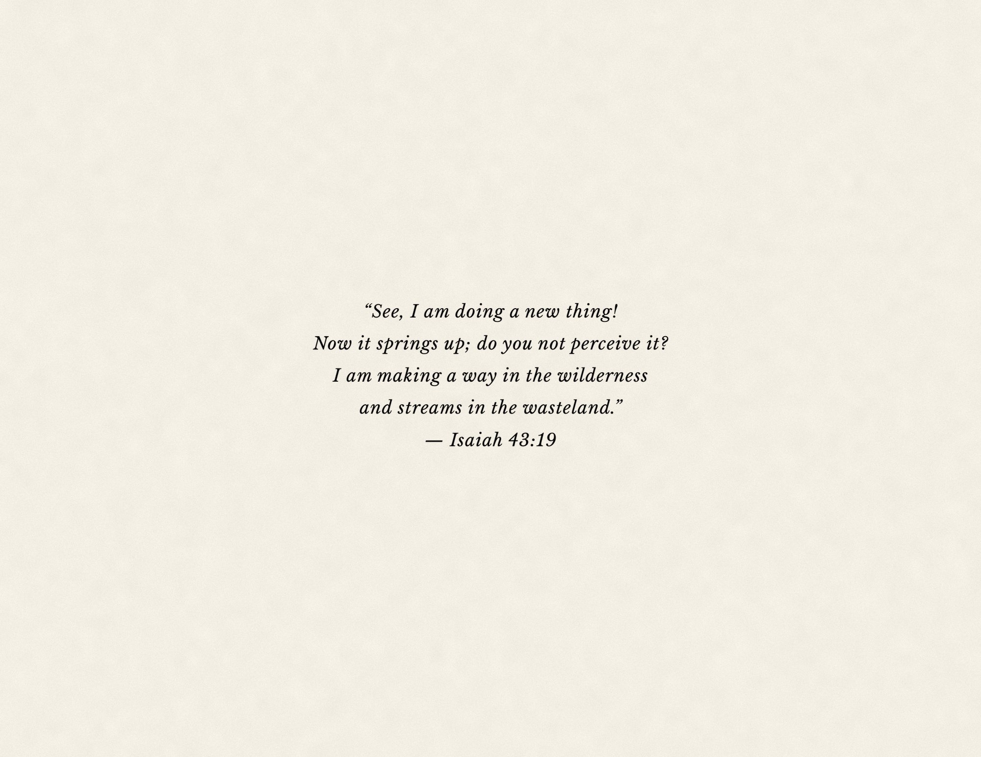 Hope Springs Forth — photo book